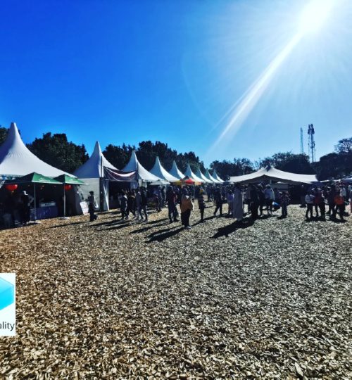 S3-640x640-Stretch tent3