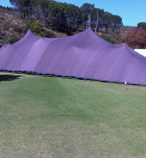 Stretch Tent3